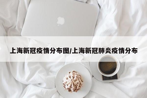 上海新冠疫情分布图/上海新冠肺炎疫情分布