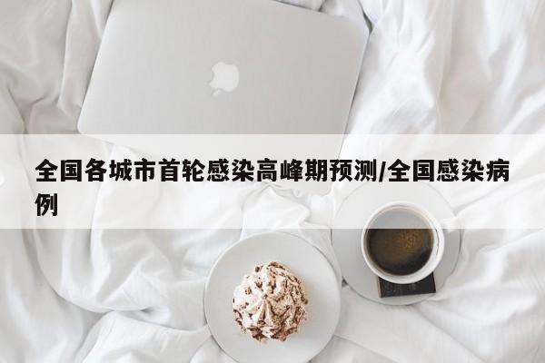 全国各城市首轮感染高峰期预测/全国感染病例
