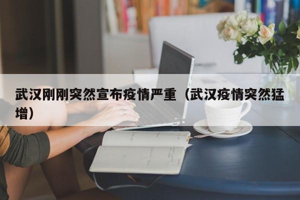 武汉刚刚突然宣布疫情严重(武汉疫情突然猛增)