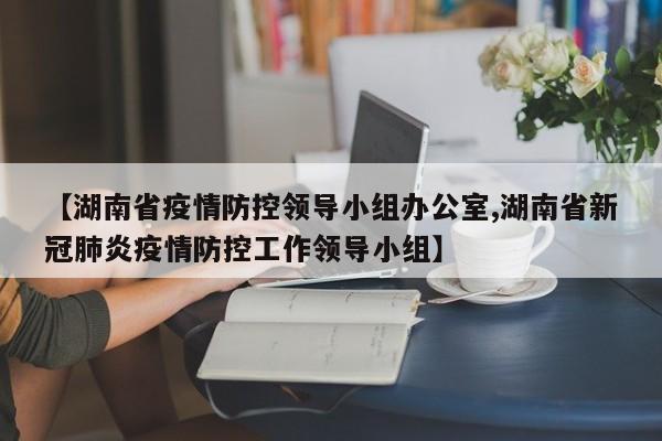 【湖南省疫情防控领导小组办公室,湖南省新冠肺炎疫情防控工作领导小组】