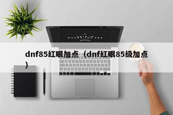 dnf85红眼加点(dnf红眼85级加点)